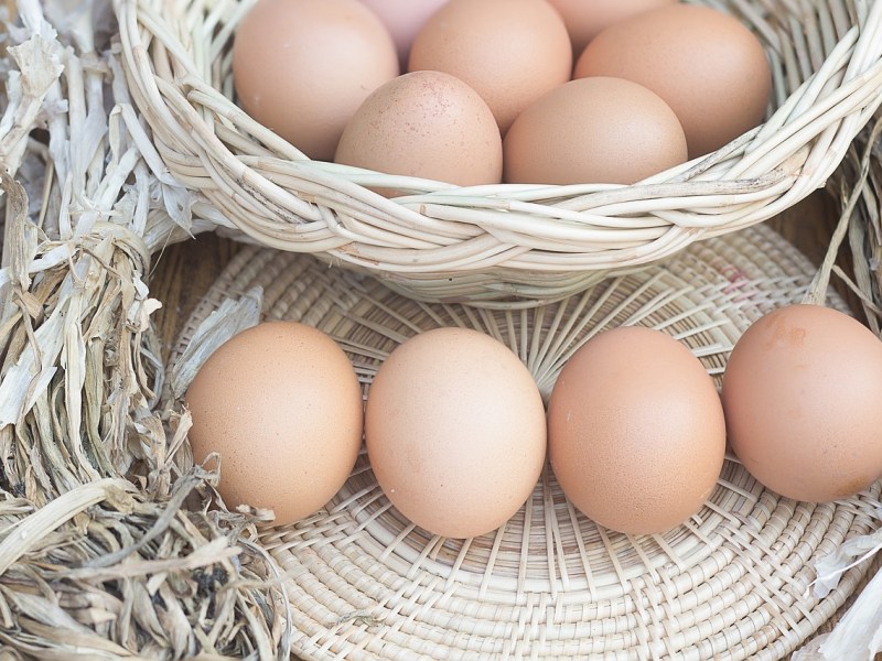 Why to keep all eggs in one&nbsp;basket?